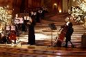 Golden Gate Strings