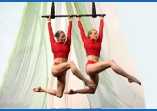 Circus Trapeze Acts